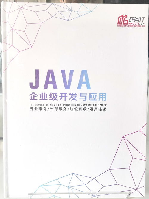 碼谷信息科技 專業(yè)軟件開發(fā)項(xiàng)目外包與數(shù)字文化創(chuàng)意解決方案
